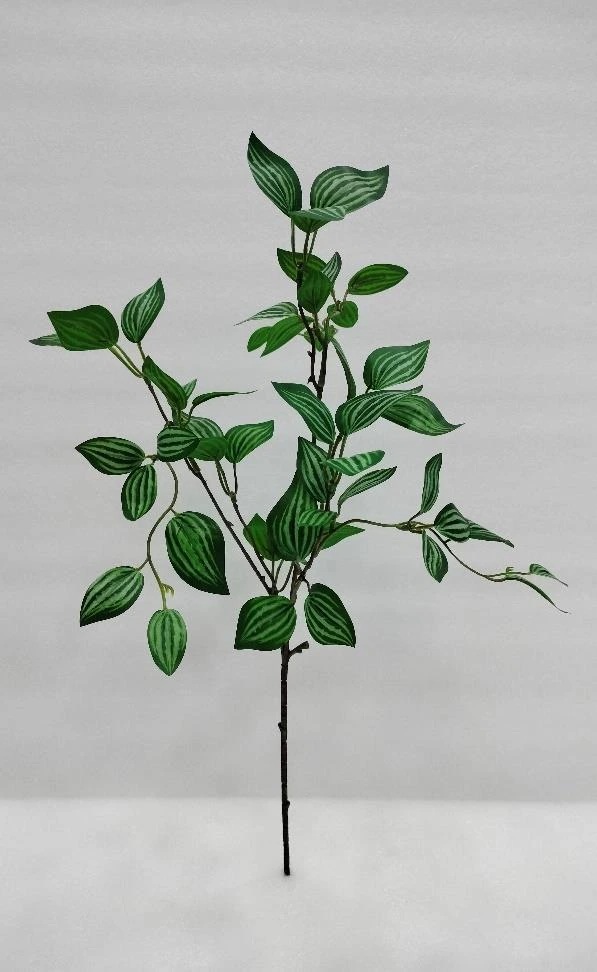 Mini Watermilan Leaves Bunch Med